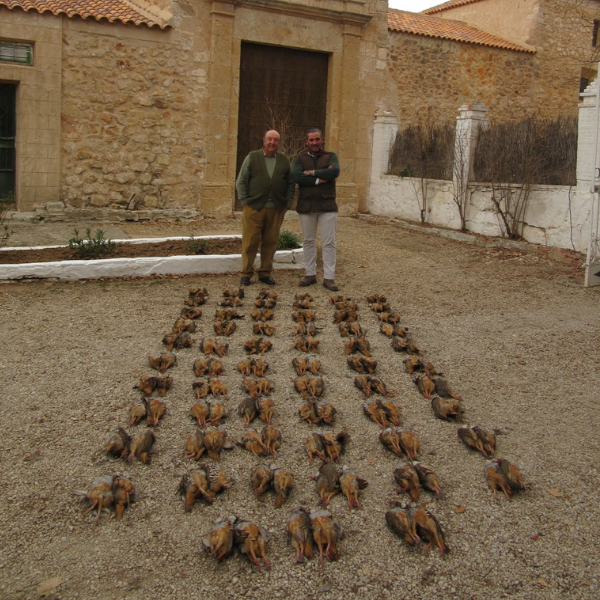 SHOOTING DRIVE RED PARTRIDGES  Up to 10 hunters