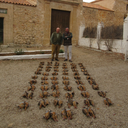 SHOOTING DRIVE RED PARTRIDGES  Up to 10 hunters