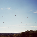 SHOOTING DRIVE RED PARTRIDGES  Up to 10 hunters