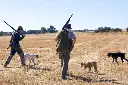 2 cazadores perros.webp