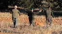 3 cazadores.webp