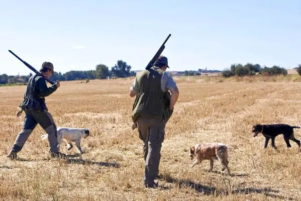 2 cazadores perros.webp