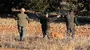 3 cazadores.webp