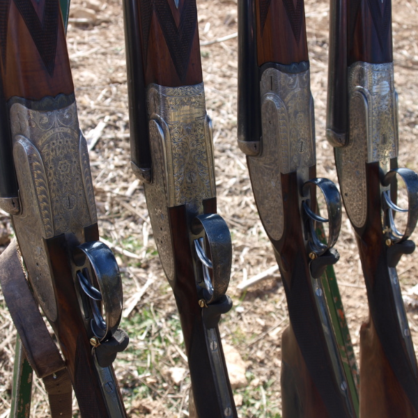Package of 1 day shooting